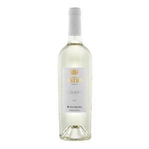2022 Marques de Astro Verdejo/White Vino de la Tierra de Castilla, Spain