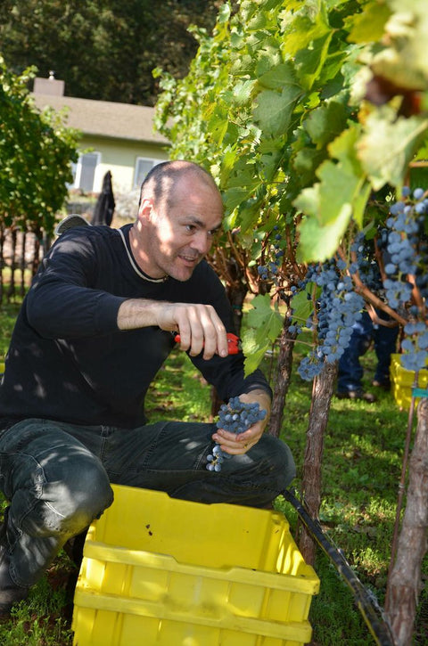 Aaron_Pott_Winemaker