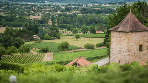 Cahors_Region_in_Malbec_FR