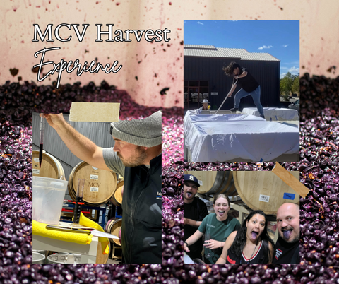 MCV Tasting Room Collage