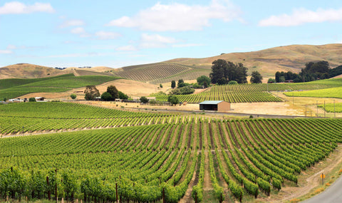 North Coast_Napa_Valley_Vineyards