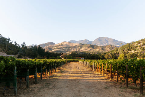 A Chat with the Powerhouse Behind Jax Vineyards