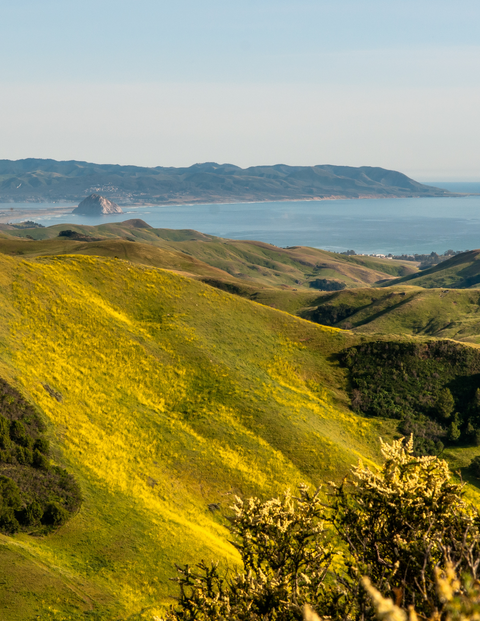 Central Coast in California