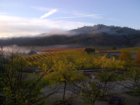 Uncork the Best of California in Every Sip