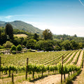 Sonoma wine region