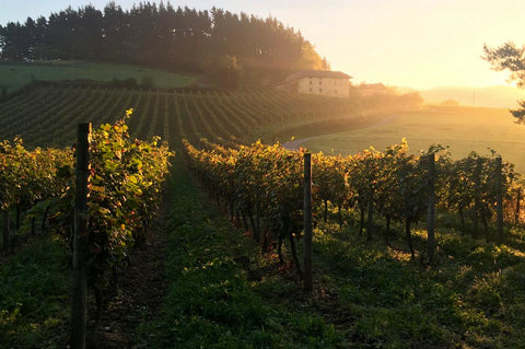 gorka-izagirre_Basque_Country_Spain