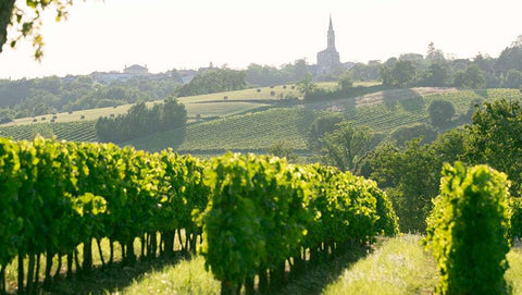 graves-wine-region-2